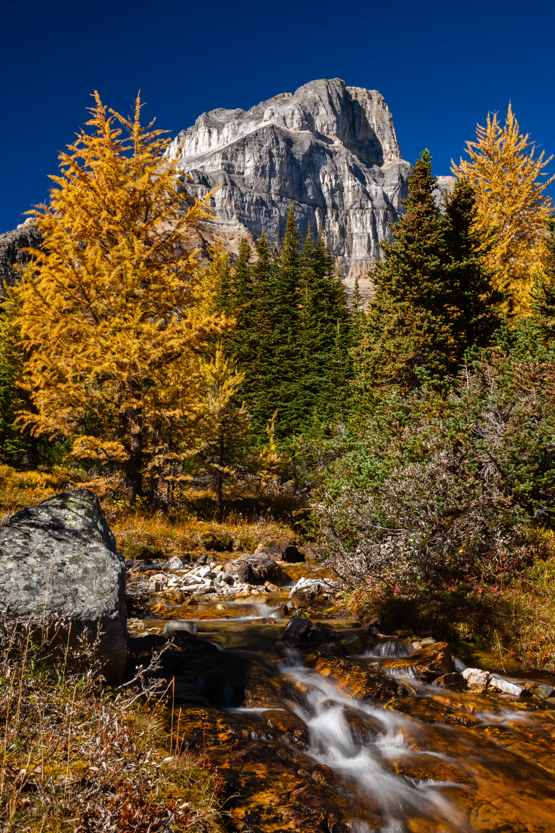Creek, golden larch trees, and mountain views along the Larch Valley hike